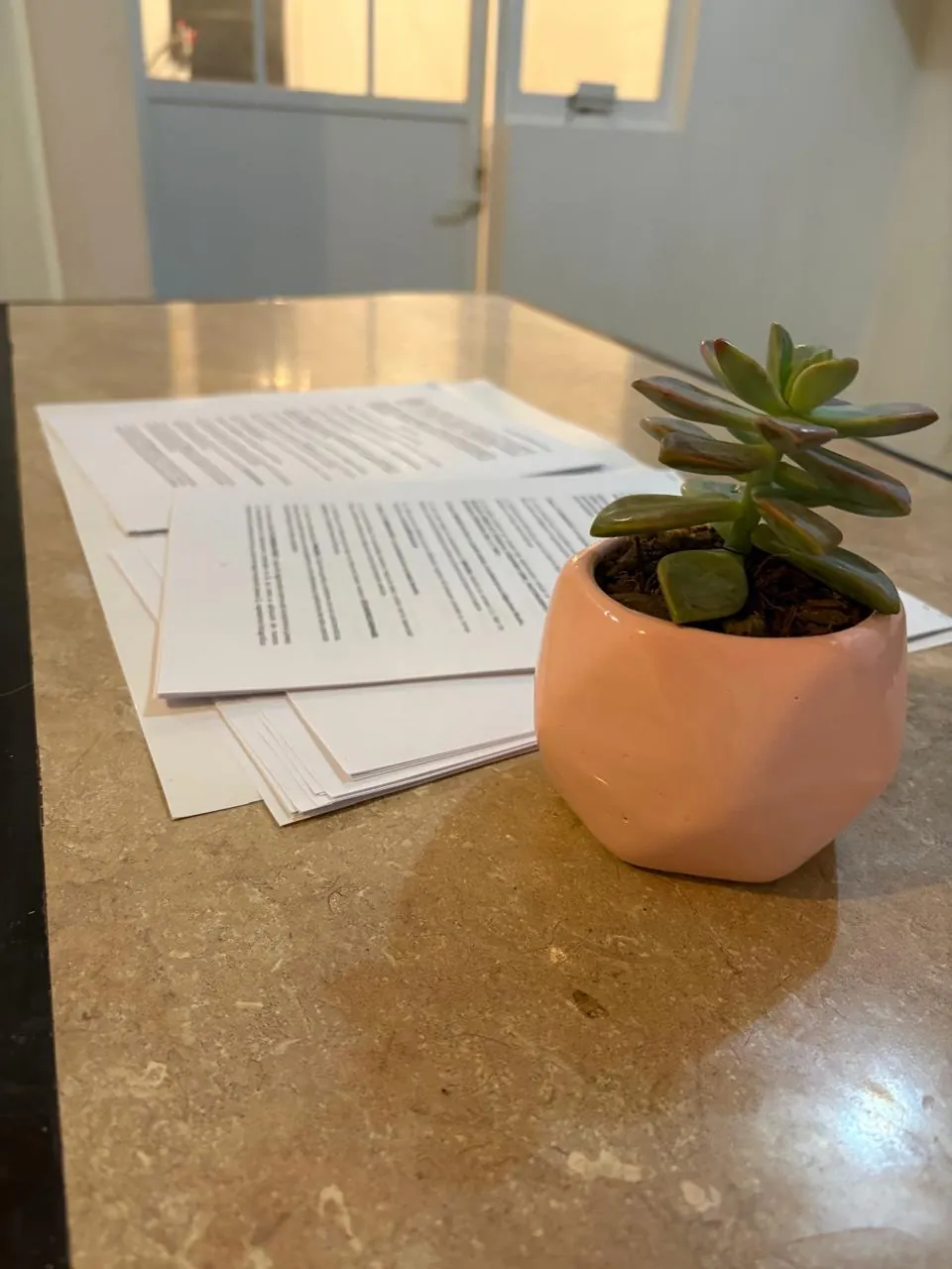 Contratos junto a una planta sobre una mesa.